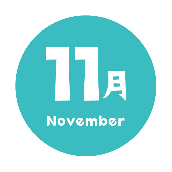 11月